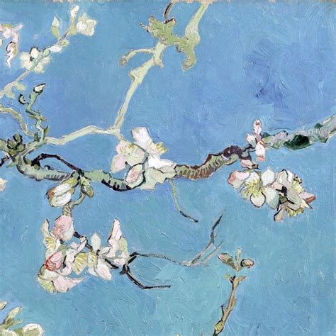 Almond Blossom (detail) by Vincent van Gogh - Lone Quixote