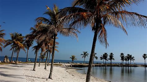 Matheson Hammock Park Beach - Trip to Park