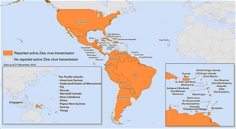 2015–16 Zika virus epidemic - Wikipedia