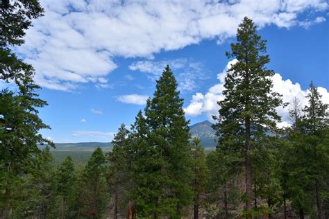 New Flagstaff AZ hiking trails expand options on Schultz Pass Road