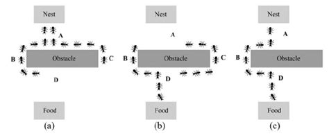 Ant swarm intelligence in finding shortest route to food source ...