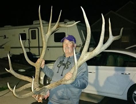 Update: More Photos Released of Potential World-Record Archery Elk | OutdoorHub