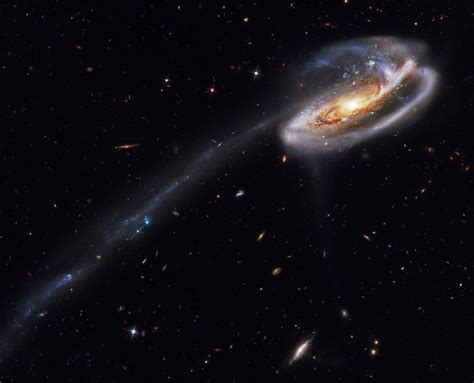 The Tadpole Galaxy | Anne's Astronomy News