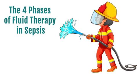 The 4 Phases of Fluid Therapy in Sepsis – Sepsis Program Optimization