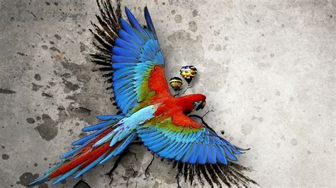 Macaw Parrot Wallpaper (67+ images)