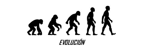 Teoría de la evolución, ¿hubo alguien antes de Charles Darwin ...