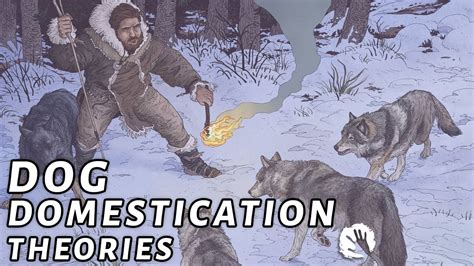 4 Dog Domestication Theories - Game videos