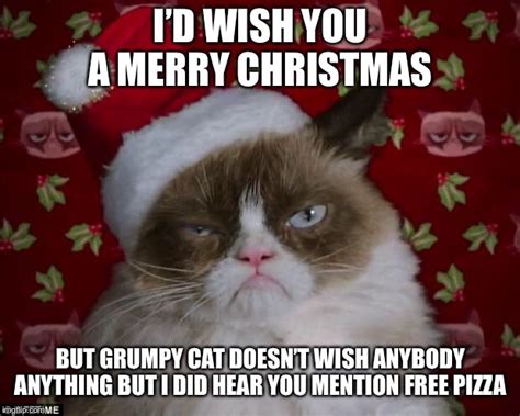 Grumpy Cat Christmas - Imgflip