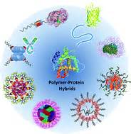 Protein–polymer therapeutics: a macromolecular perspective - Biomaterials Science (RSC Publishing)