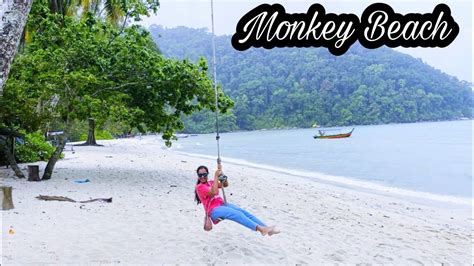 Hidden Beaches in Penang | Monkey Beach | Penang National Park | Hiking to Monkey Beach at ...