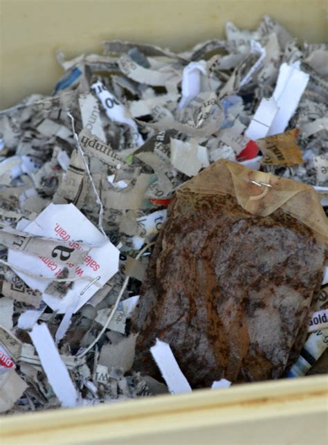 Save yourself some cleanup: Line kitchen scrap container with shredded paper & add to compost ...