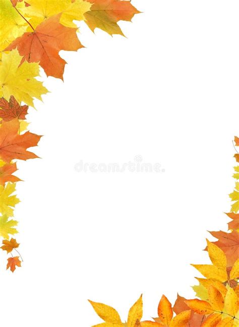 Fall Leaves Border stock photo. Image of border, maple - 21571012