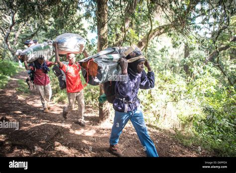 MT KILIMANJARO, Tanzania - Porters carry their loads on the path ...