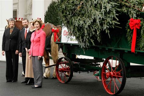 First Ladies Greeting the Official White House Christmas Tree: Photos