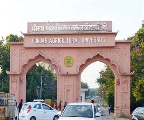 Punjab Agriculture University विश्व की सर्वोत्तम खेती यूनिवर्सिटी के सर्वे में शामिल - Punjab ...