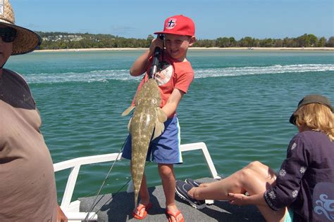 Noosa River Weekly Fishing Report - Noosa Fishing and Crab Adventures