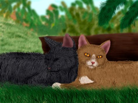 Leafpool and Crowfeather by Alisa222 on DeviantArt