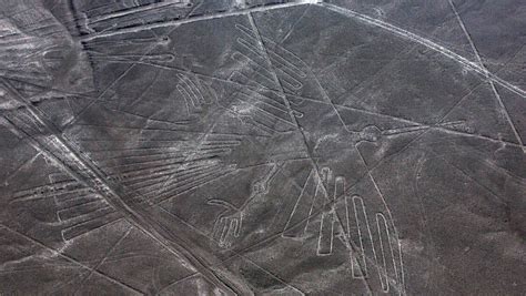 Nazca Lines: Peru UNESCO World Heritage Site damaged by truck