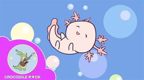 Axolotl Song | Original music for kids | Meet the cutest Mexican ...