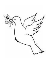 Doves coloring Pages  Free Coloring sketch template