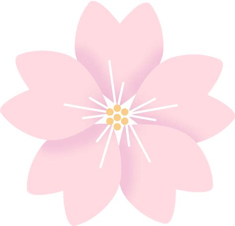 Flowers Cherry Blossom Sakura Clipart - Full Size Clipart (#2946597) - PinClipart