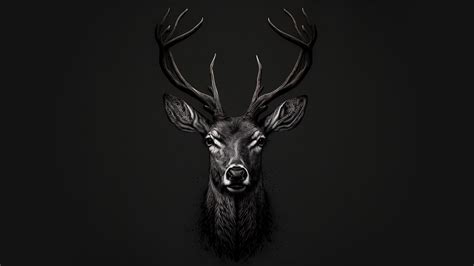 Download wallpaper 3840x2160 bw, deer muzzle, digital art 4k wallpaper, uhd wallpaper, 16:9 ...