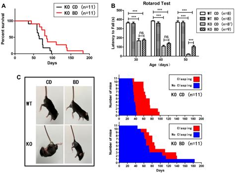 Bezafibrate Rescues Mitochondrial Encephalopathy in Mice via Induction of Daily Torpor and ...