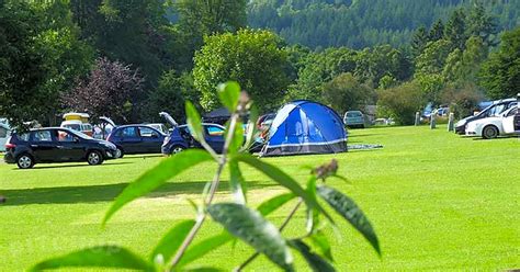 Faskally Caravan Park, Pitlochry - Pitchup®