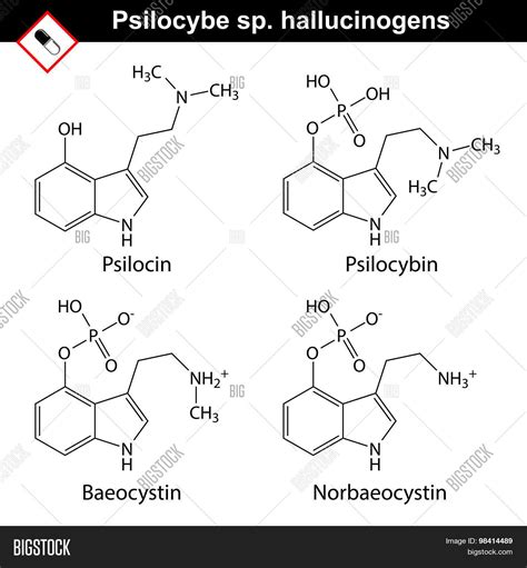 Natural Tryptamine Vector & Photo (Free Trial) | Bigstock