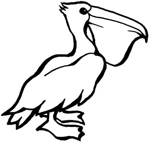 Free Cartoon Pelican Pictures, Download Free Cartoon Pelican Pictures png images, Free ClipArts ...