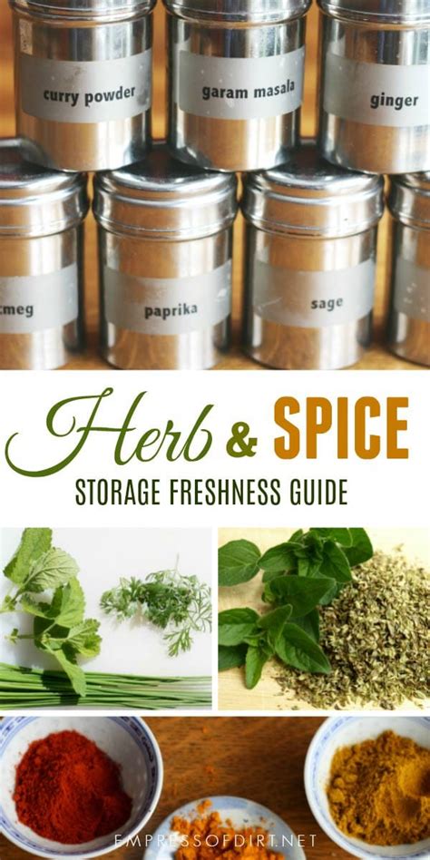 Herb & Spice Freshness Storage Guide - Empress of Dirt