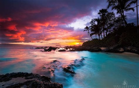 Sunset, palm trees, Hawaii, grapher, Kenji Yamamura, Maui Beach HD wallpaper | Pxfuel