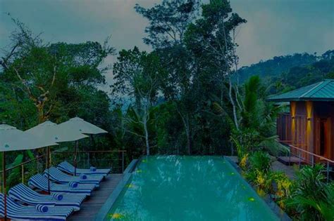 5-Star Hotels in Kerala | MakeMyTrip Blog