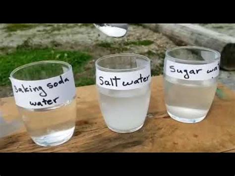 Salt Water Experiment - YouTube