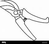 Pruning Scissors Drawing At Casey Hall Blog sketch template