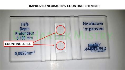 NEUBAUER CHAMBER | HAEMATOLOGY LAB | PHYSIOLOGY - YouTube