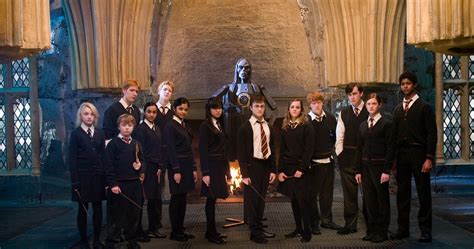 Harry Potter: 20 Members Of Dumbledore's Army Officially Ranked