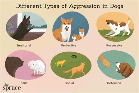 How To Handle Aggression In Dogs - Theatrecouple12