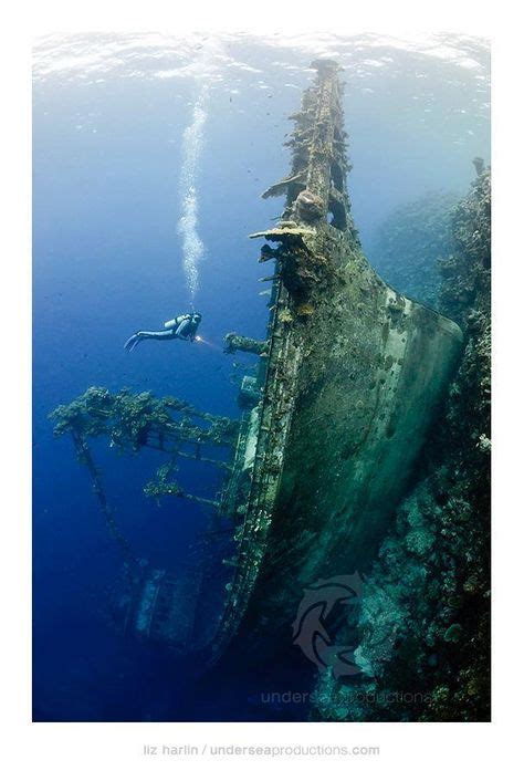 70 Shipwrecks ideas | shipwreck, abandoned ships, underwater