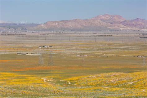 "Antelope Valley" Images – Browse 1,522 Stock Photos, Vectors, and ...