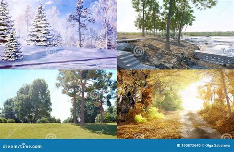 The Four Seasons are Arranged in One Illustration. Winter, Spring, Summer, Fall. All Season ...