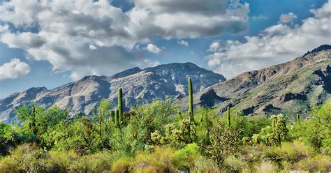 Catalina Mountains Photograph by Catherine Pearson - Pixels