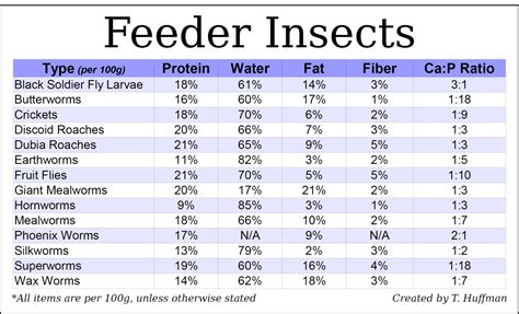 Feeding Guide for Your Bearded Dragon - PetHelpful