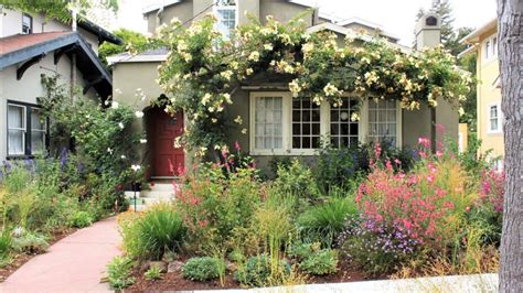 Feast Your Eyes on Gorgeous Bay Area Native Plants and Wildlife Habitat ...