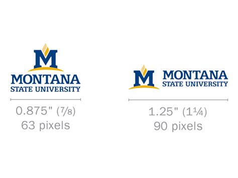 Logo use guide - Marketing | Montana State University