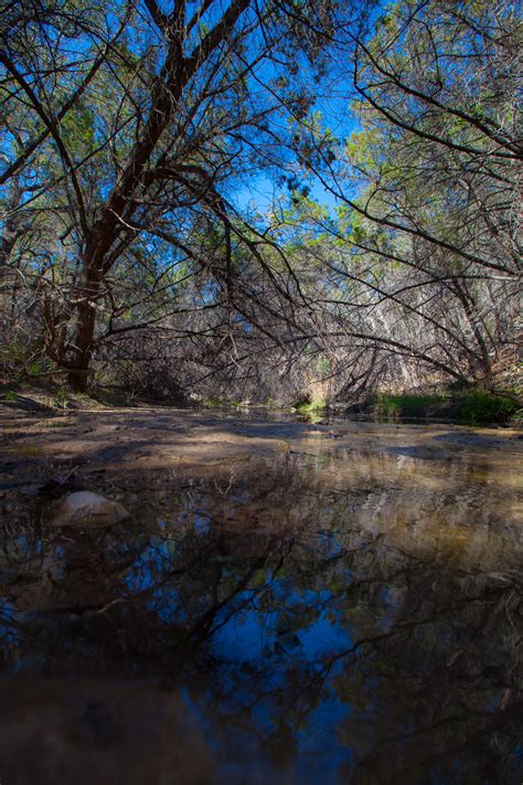 hectoradventures: Turkey Creek Trail (Austin, TX)