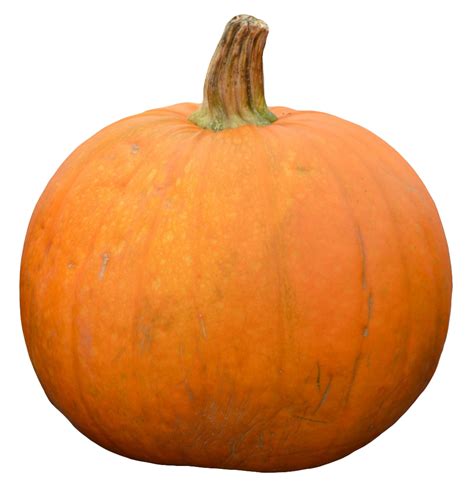 Pumpkin PNG Image - PurePNG | Free transparent CC0 PNG Image Library