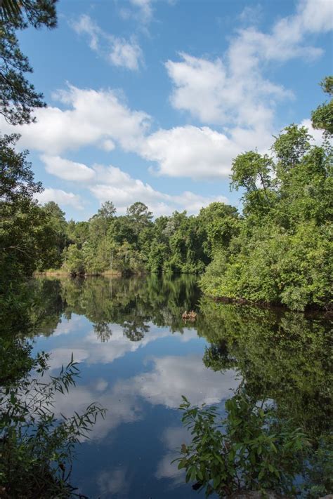 Wekiwa Springs State Park | Home of the Drivel Slingshot