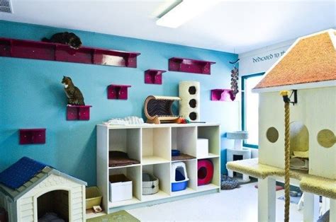 30+ Ideas For Cat Room – DECOOMO