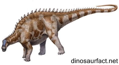 Brachytrachelopan dinosaur